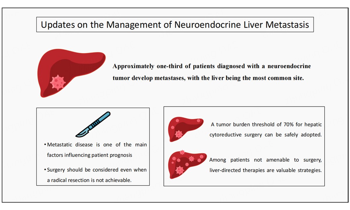 OAE_JCMT's tweet photo. ๐จUpdates on the management of neuroendocrine liver metastasis
๐ DOI: 10.20517/2394-4722.2024.140
๐Full article: https://t.co/MErx7NJWd0
#JCMT #NeuroendocrineTumors #Oncology #CancerResearch
@gio_catalano Catalano @Laura Alaimo @Andrea Ruzzenente @Timothy M. Pawlik https://t.co/sZCfXNtDTQ