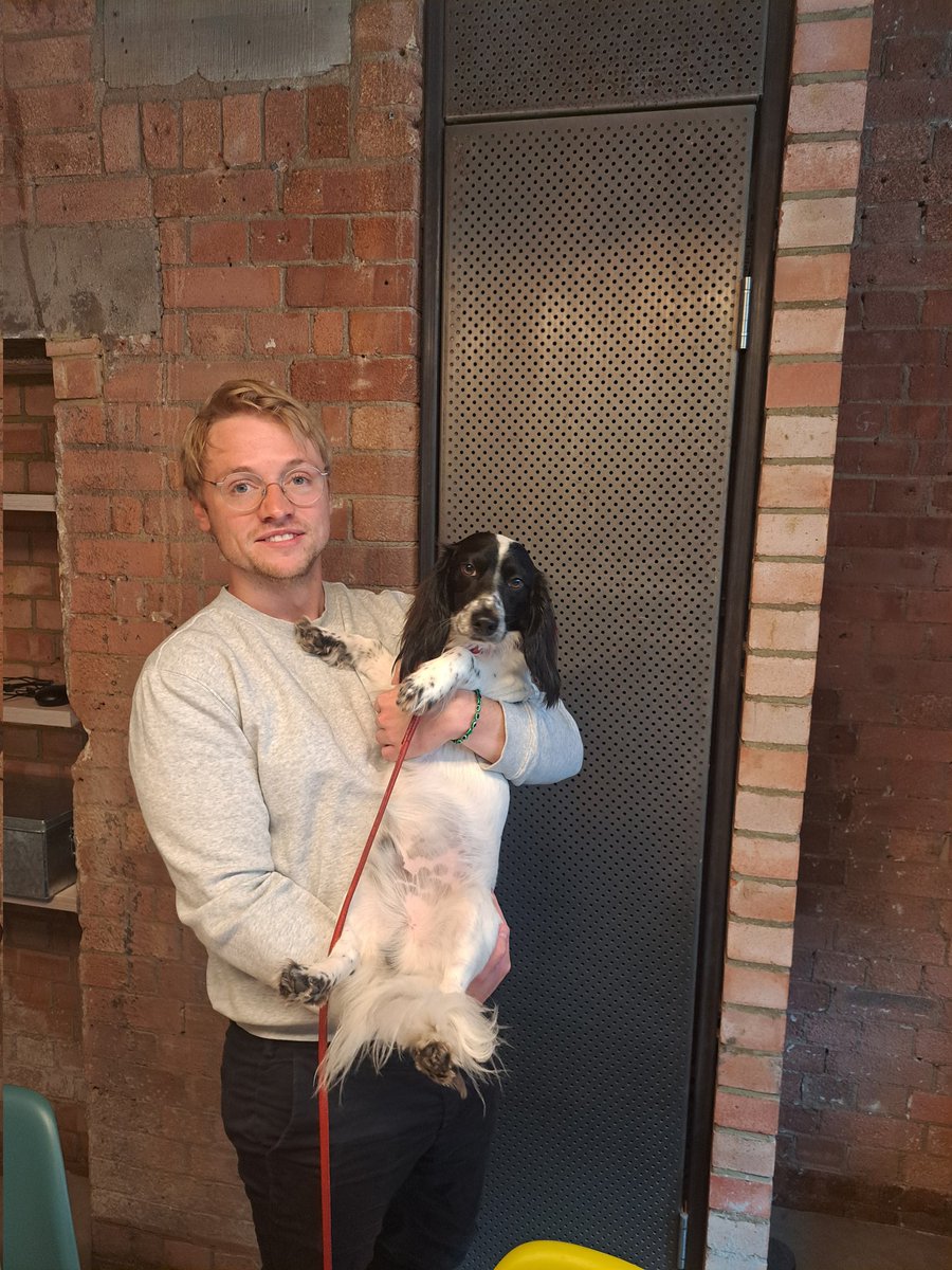 HendrixTraining's tweet photo. How lovely having dogs as part our presentation skills training session today in London. https://t.co/NVHXB1WK21