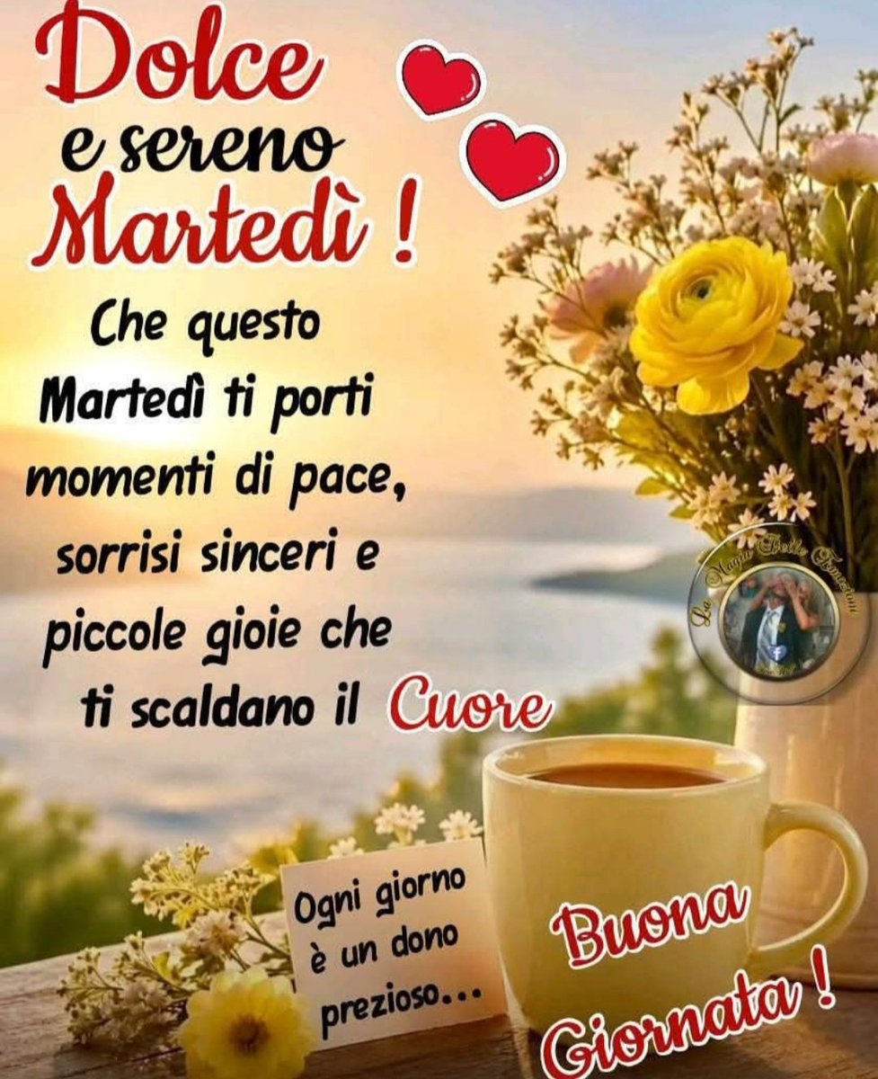 Meri☀️🌸🥀🪺🐾🌈 tweet media
