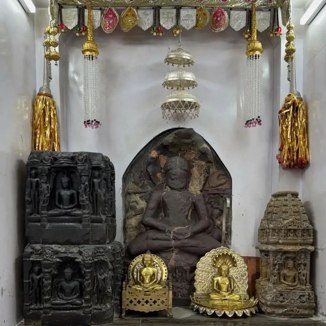 JainybachaBasu jain tweet media
