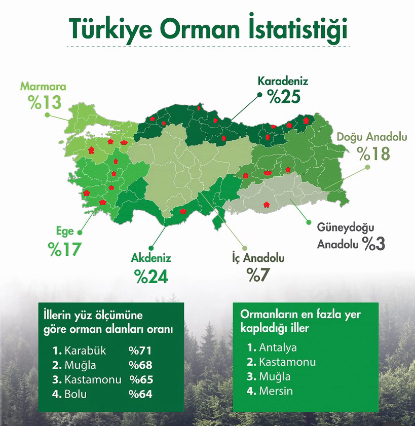 aysenuryazici's tweet photo. Sevgili gençler. Hediyenizi gördünüz mü?  Sizden,  anneanneniz olarak ricam bu ORMAN VASFINDAN ÇIKARTILAN yerlerin hepsini tekrar ağaçla doldurmanız. Maden ocağı ve zehirle değil. Betonla değil!
Biliyorum zor, ama vatanın esenliği için yapılan hiç bir şey kolay değil ki? Sıra sizde:
Artvinliler, Aydınlılar, Balıkesirliler, Bingöllüler, Bursalılar, Denizlililer, Elazığlılar, Gümüşhaneliler, Karabüklüler, Kocaelililer, Kütahyalılar, Malatyalılar, Mersinliler, Muğlalılar, Rizeliler, Sakaryalılar, Samsunlular, Sinoplular, Şanlıurfalılar, Tokatlılar, Trabzonlular, Uşaklılar, ,Zonguldaklılar....
Nasıl?
#Türkiyeyüzyılı
Haritada bakın yemyeşillere...