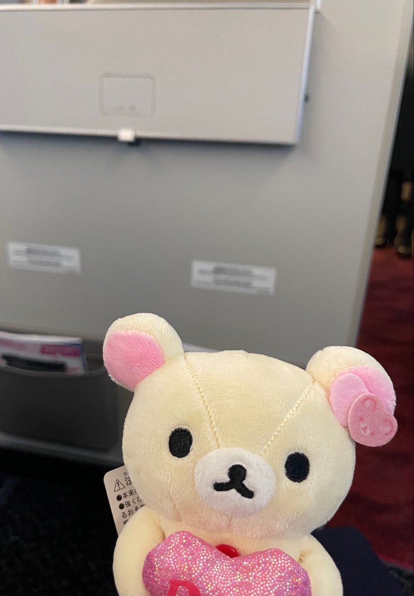 MiRayMinami's tweet photo. 帰ります〜🐻‍❄️
北海道楽しかった✨✨ https://t.co/mpvqhZ8HJu