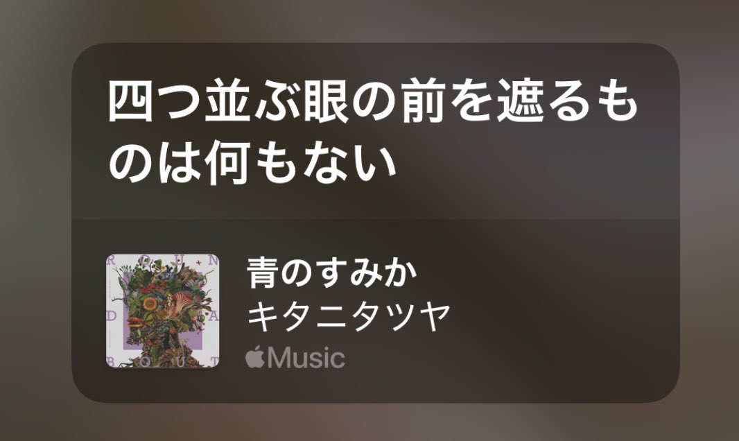 うぱ〜 tweet media