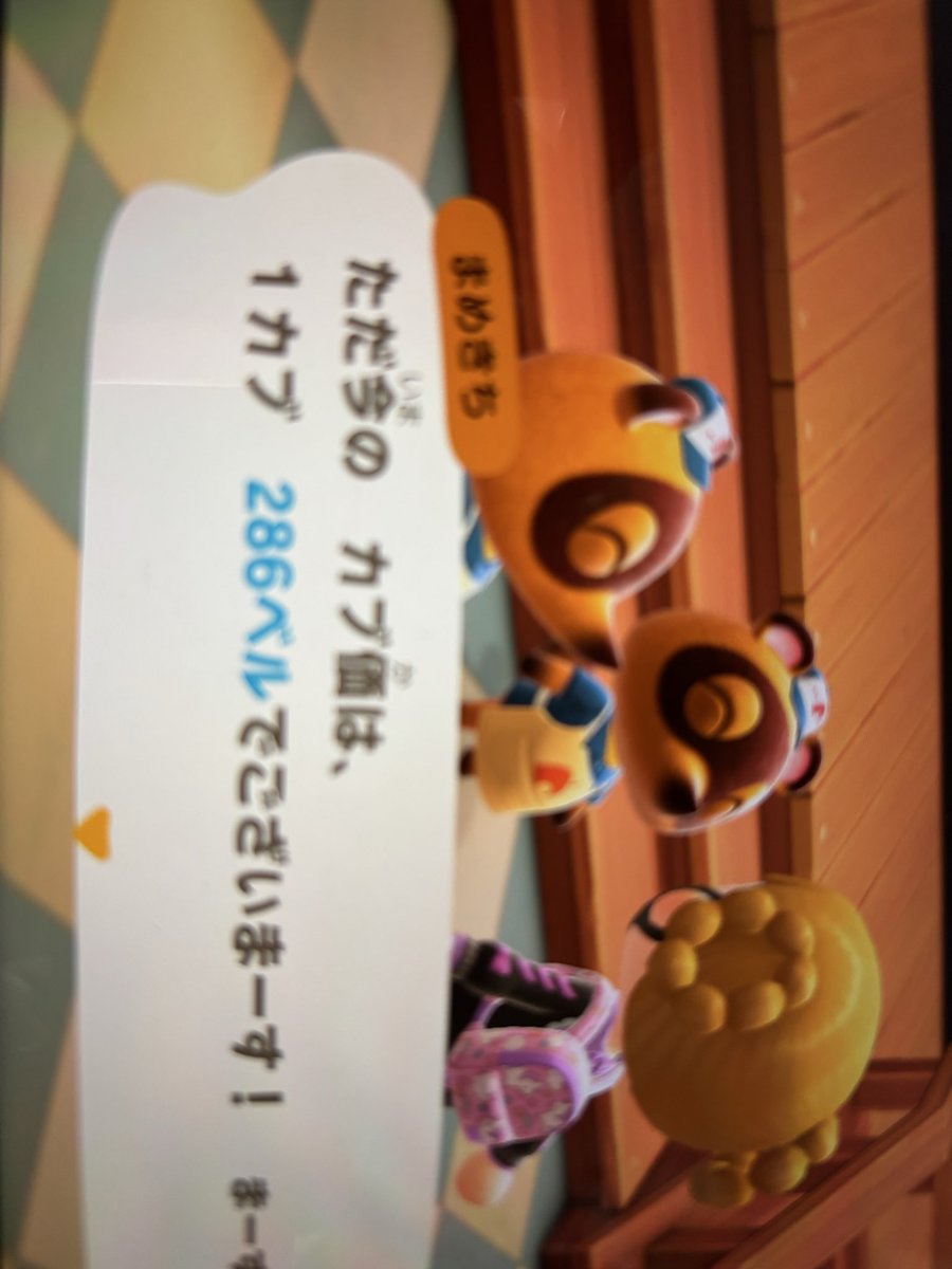 智秋 tweet media