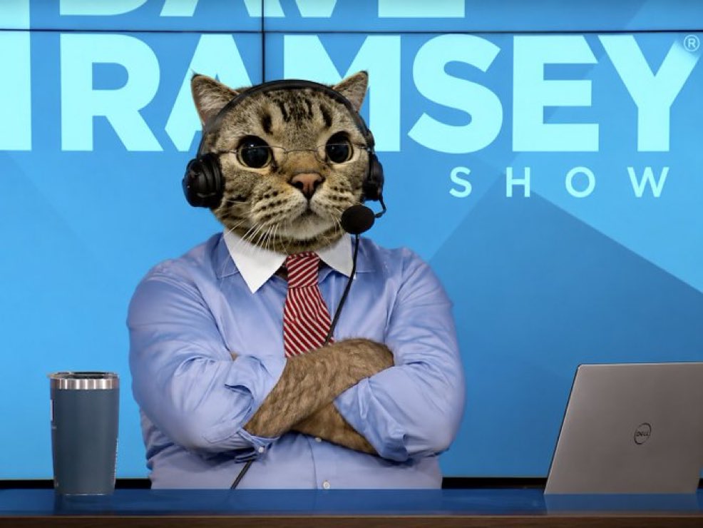 MunchBaby1337's tweet photo. The cat gets funnier the higher it goes solana:81QY29ruZQSMcwNxh7WQTiny1pcvRbaenh7b36qpump https://t.co/KFby9TmNZs
