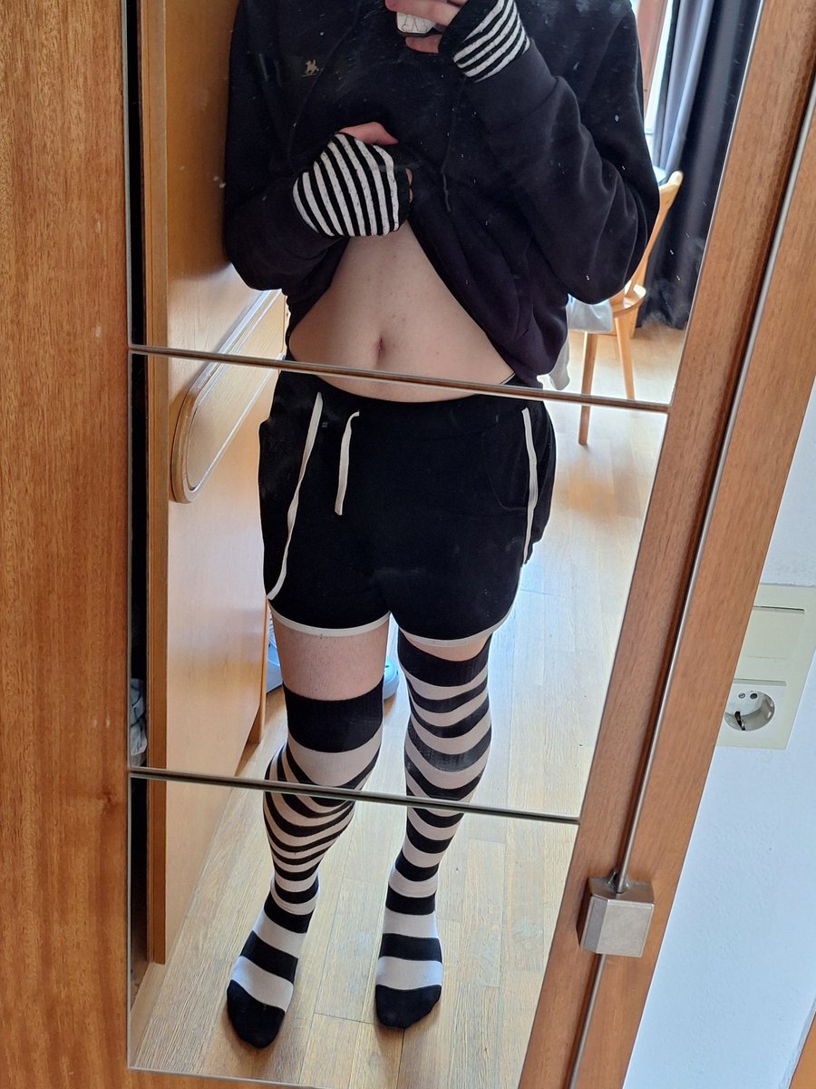 kittypaws :3 tweet media