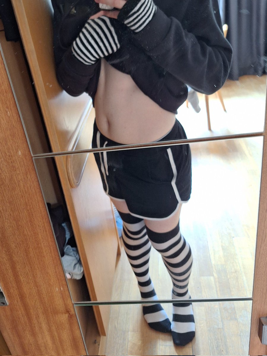 kittypaws :3 tweet media