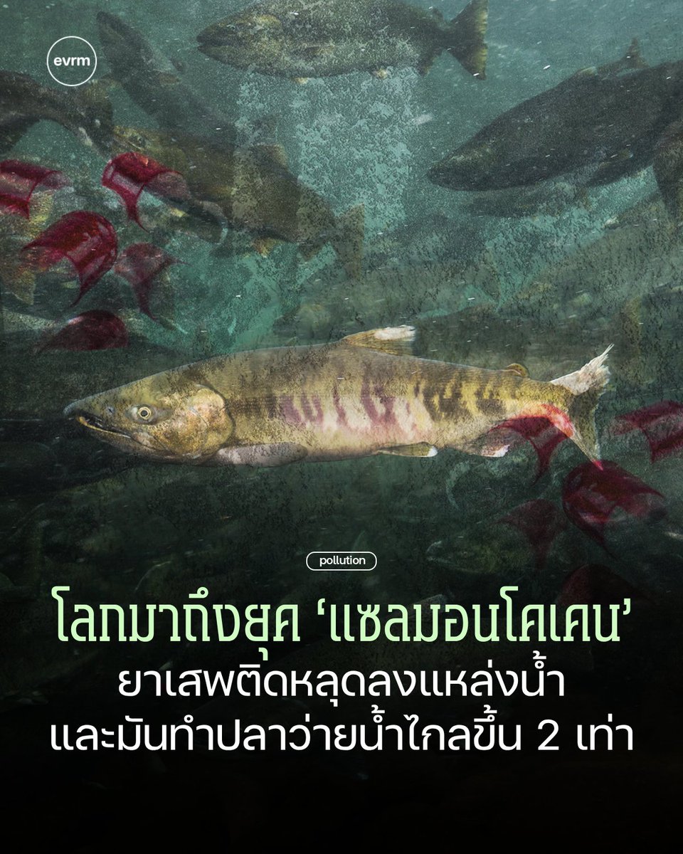 environman tweet media