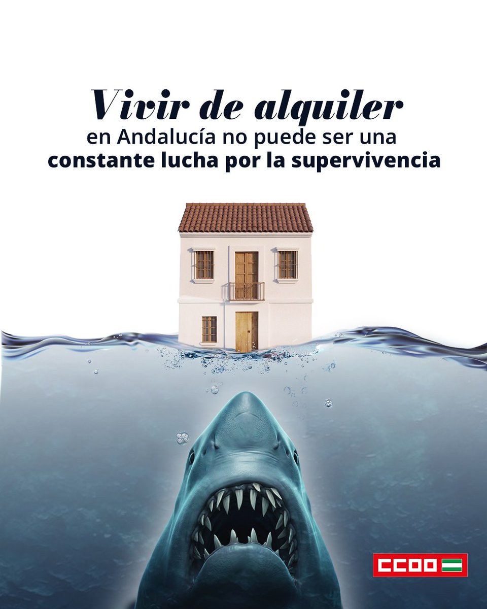 CCOO de Cádiz tweet media