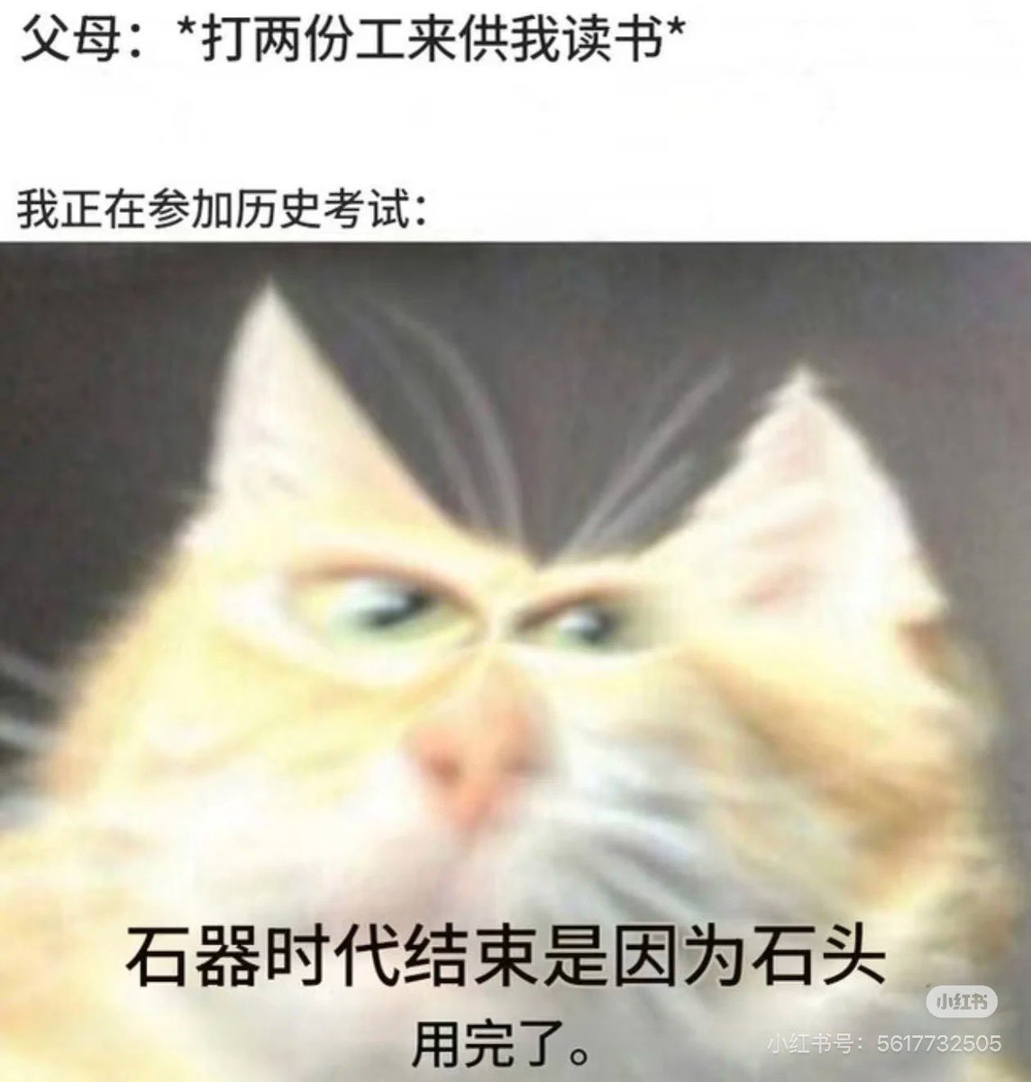 _shubing's tweet photo. 后天考试但今天一直在看群消息，bdsm把我害了。 https://t.co/M4mh9rBYY5