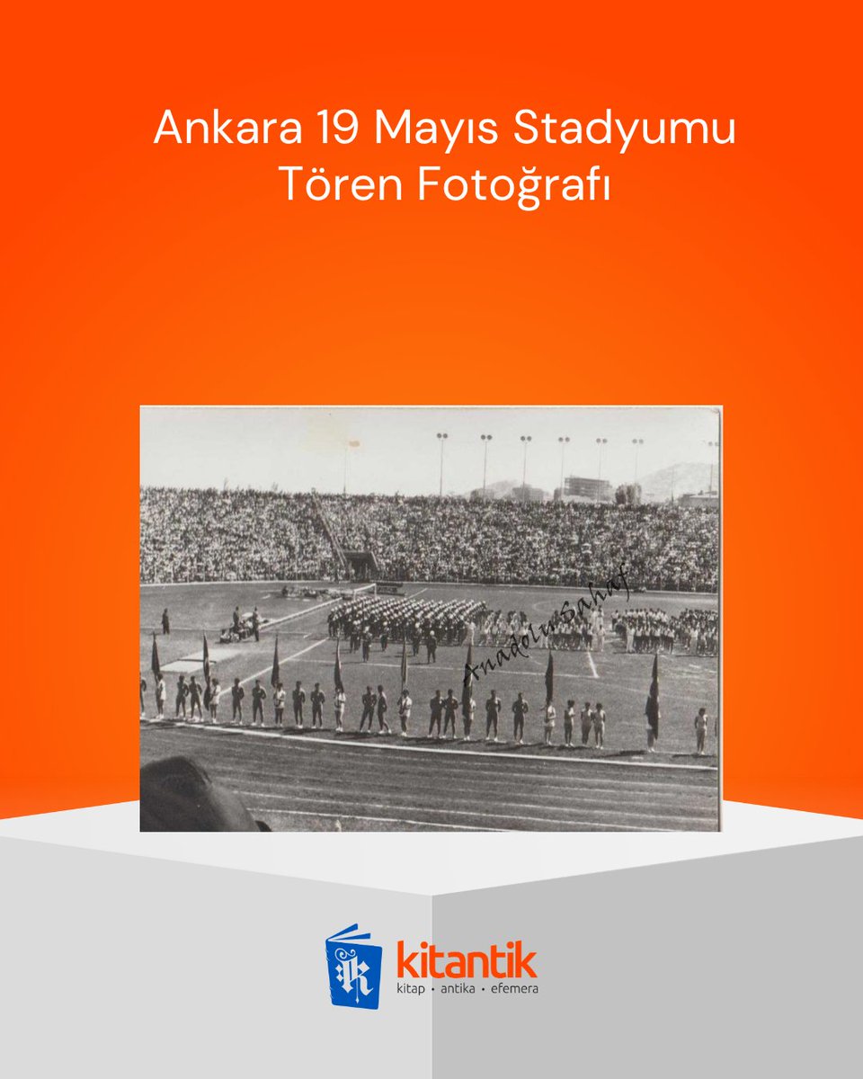 kitantik tweet media
