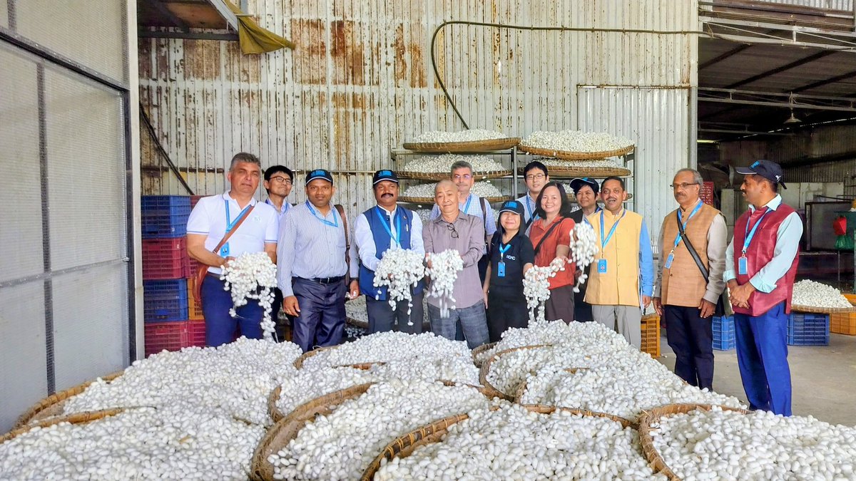 ISCBangalore's tweet photo. The ISC delegation visited a clustered mulberry plantation and reeling facility in the Bao Loc region of Vietnam. https://t.co/i20NN5Wl6Y