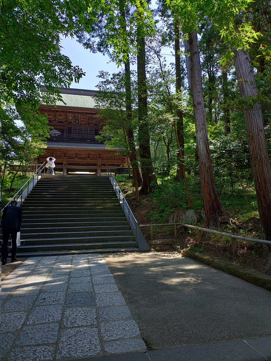 pocketlog's tweet photo. 鎌倉の円覚寺に行ってきた。

その後は隠れ家的なオシャレなフレンチ？
（グーグルマップ使っていても不安でいっぱいになる狭い裏路地）

ぜんぜん足りない。 https://t.co/FxG5uYg1tV