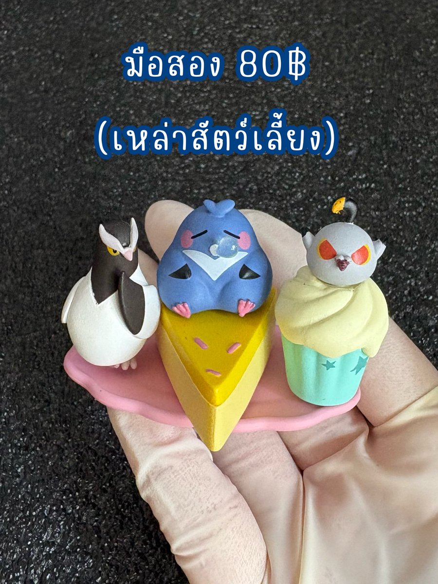 Any Ti (เฟสโดนปิด) tweet media