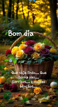 Leonor Monteiro tweet media