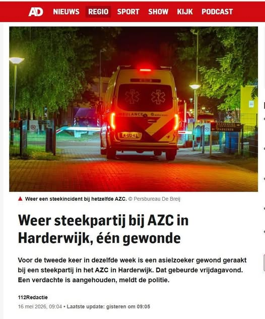 Dolly van den Berg tweet media