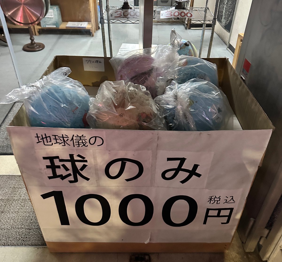 菊千代とmum tweet media