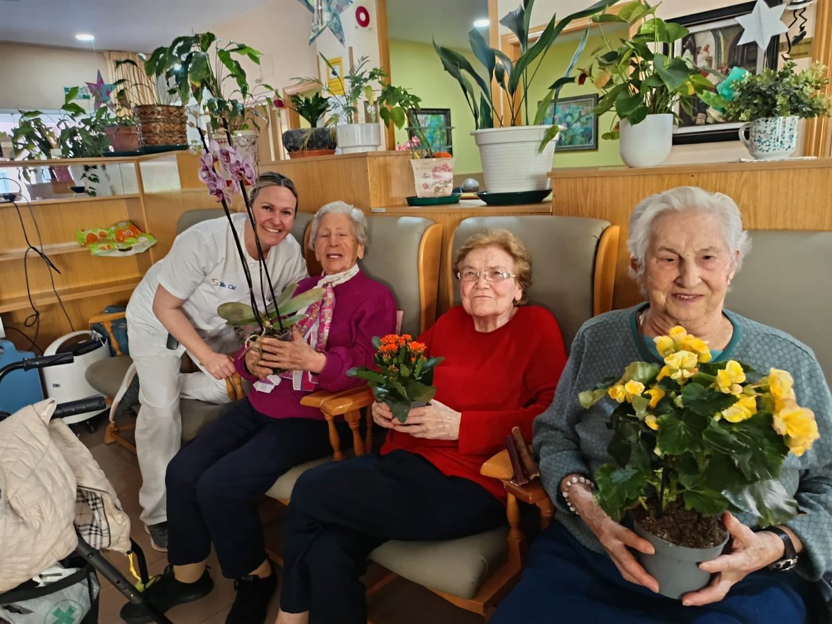 Aytoburgos's tweet photo. Las residencias de ancianos de nuestra ciudad ya tienen las plantas que el Ayuntamiento ha distribuido entre los centros.

👉🏻 Todas ellas proceden de la Fiesta de las Flores y ahora adornarán estancias residenciales. https://t.co/tWxbxfIzCT