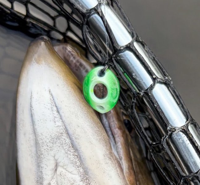 TK🎣 tweet media