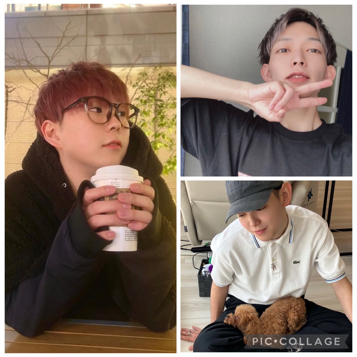 MONS_kitchen's tweet photo. 明日5月20日(水)のもんずきっちん😊

・けいた🦎
・まる🐶
・たいち🐹

皆様のご来店お待ちしております😊 https://t.co/WfJAFkkaeH