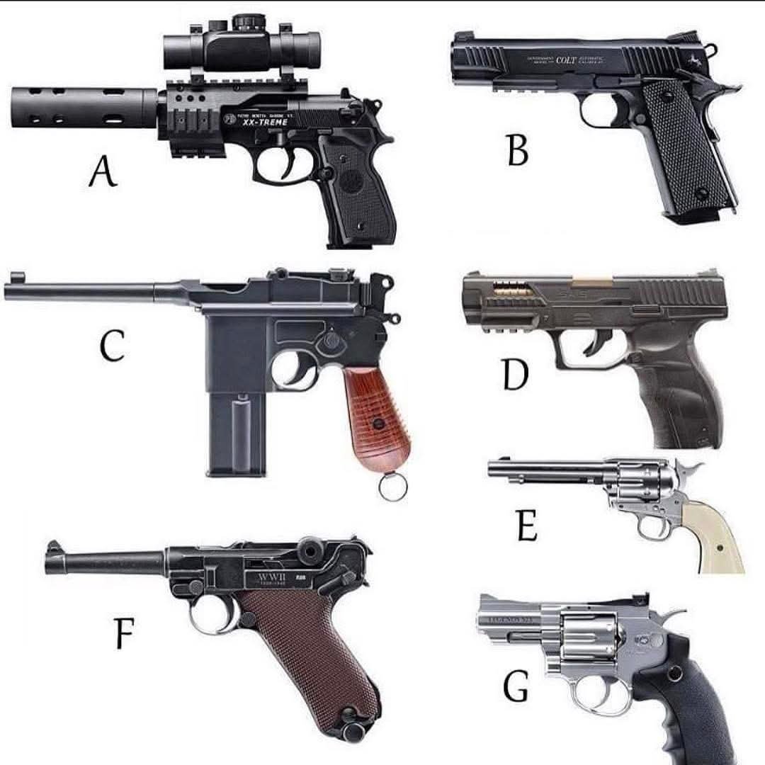 Daily Gun Dose tweet media