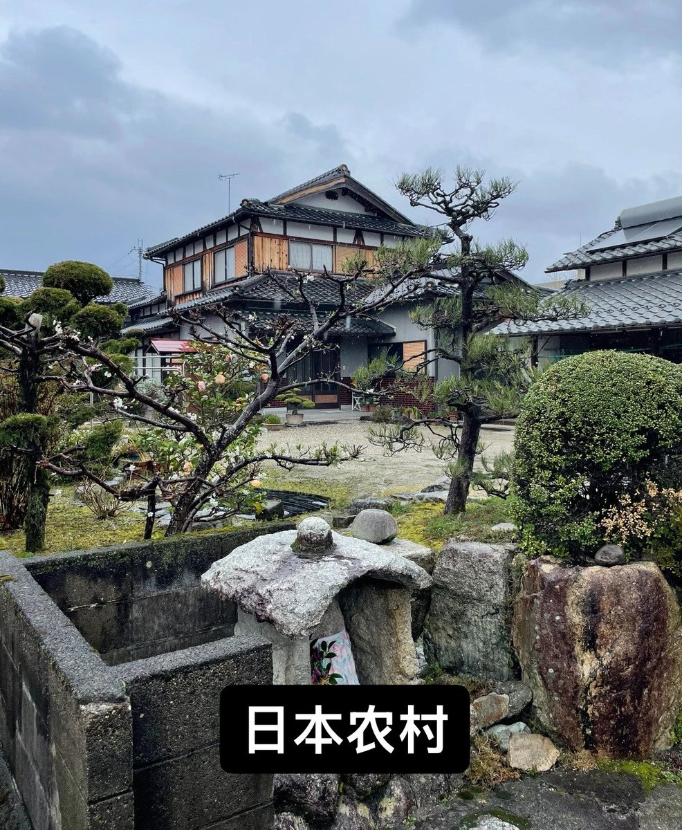怀特福 tweet media
