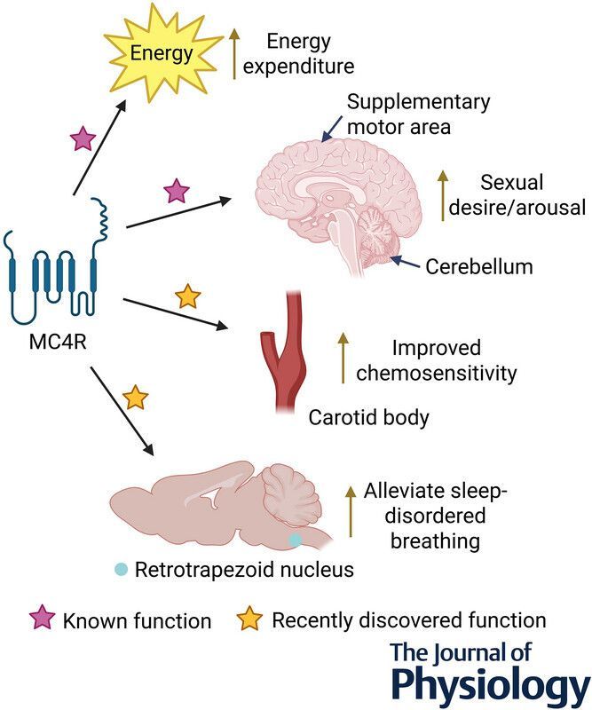 Journal of Physiology tweet media