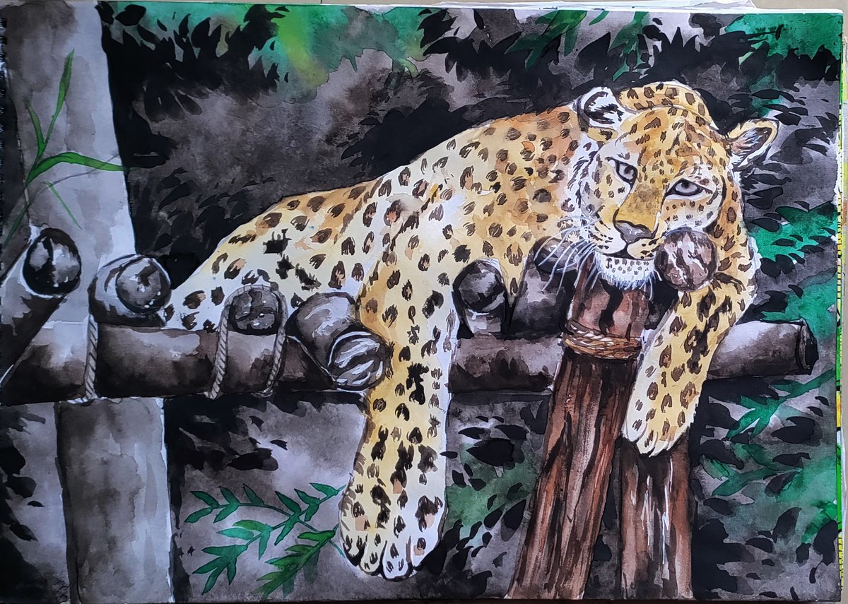 deepshikha_de's tweet photo. Thrilled to share the leopard I had painted! 

#IBCASummit2026  @narendramodi @IBCA_official @moefcc @byadavbjp @KVSinghMPGonda @DrRabinowitz @NatGeo @deespeak @shaazjung @HardeepSPuri @2aarushde @LadyIFSOfficers @SudhaRamenIFS @myogiadityanath @MedhaRoopam @dmgbnagar https://t.co/Q13j0oySgD