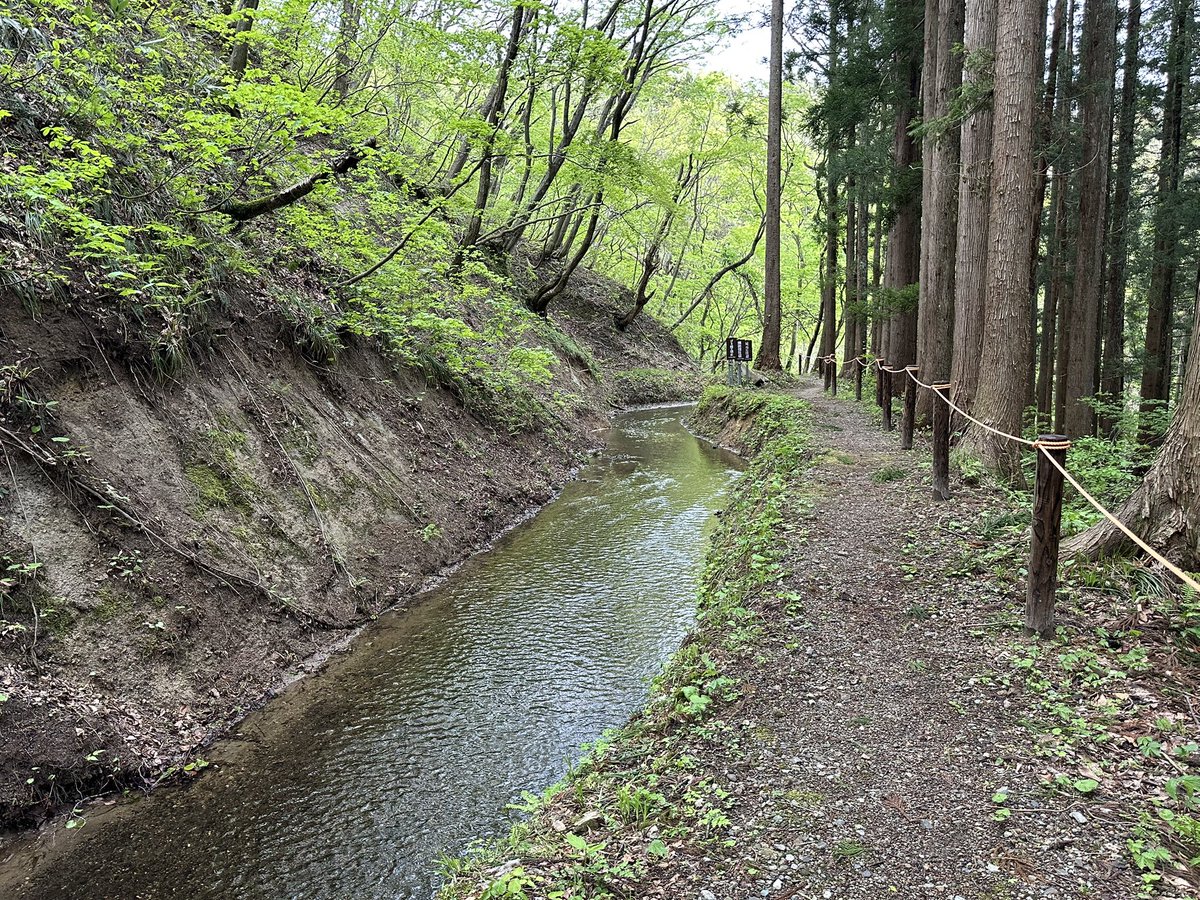 あらンドロン tweet media