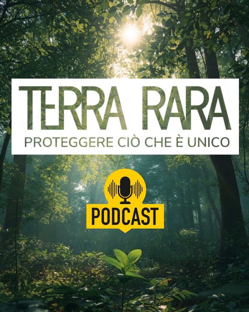 ARPA FVG tweet media