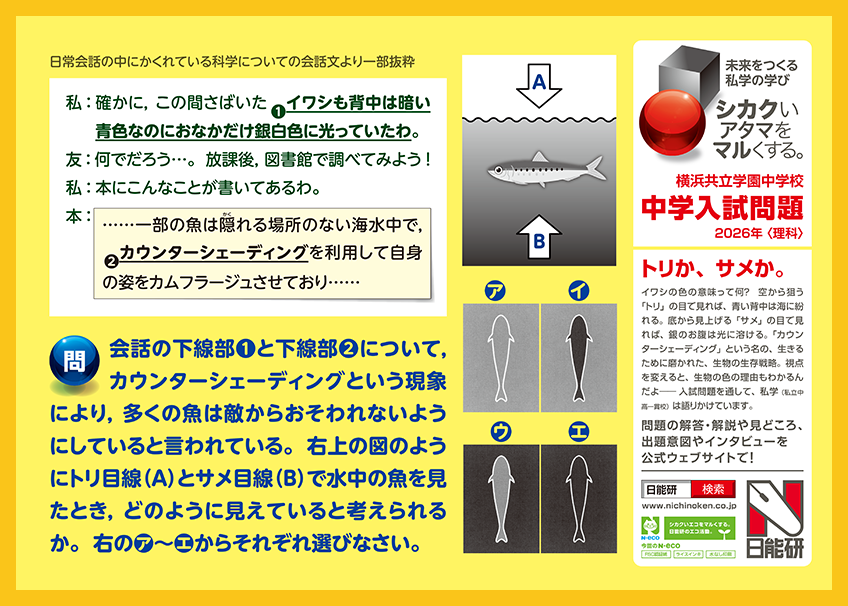 日能研 (@nichinokenjp) / Posts / X