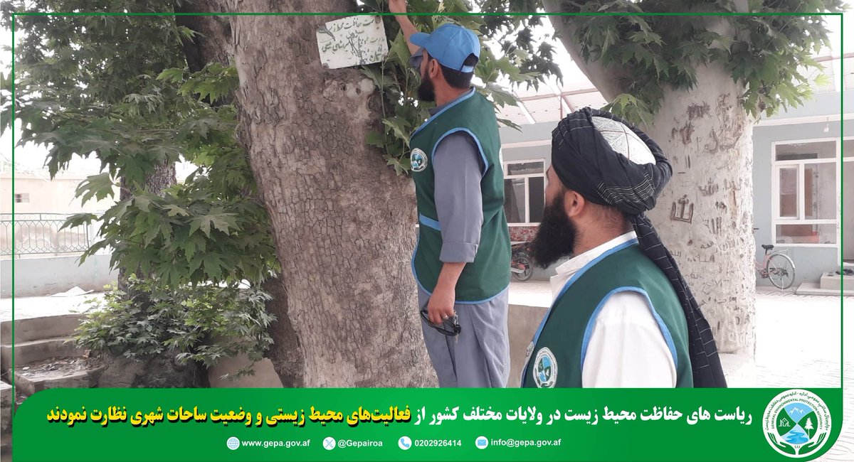 د چاپېریال ساتنې عمومي اداره(NEPA) tweet media