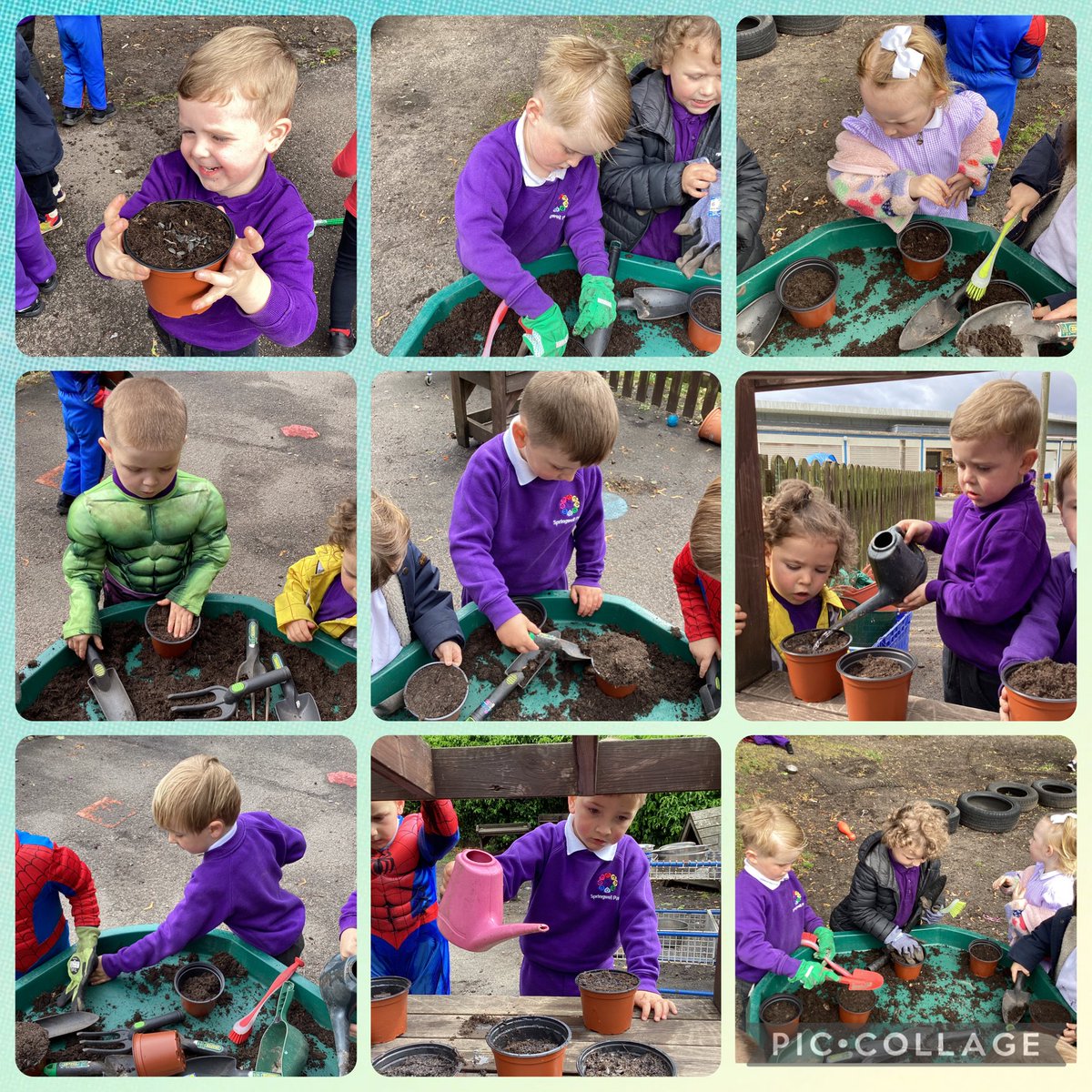 SpringwellEYFS's tweet photo. We have been busy planting sunflower seeds this morning. We are excited to watch them grow! @Springwellpark_ https://t.co/ksYfm3Yhfq