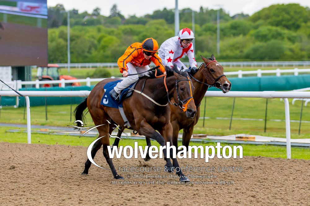 Wolverhampton Races tweet media
