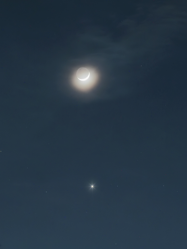 彩の星 (さいのほし) tweet media
