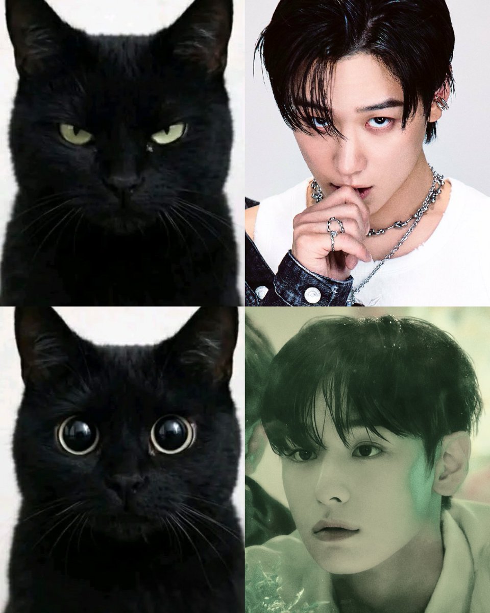로에🖤 tweet media