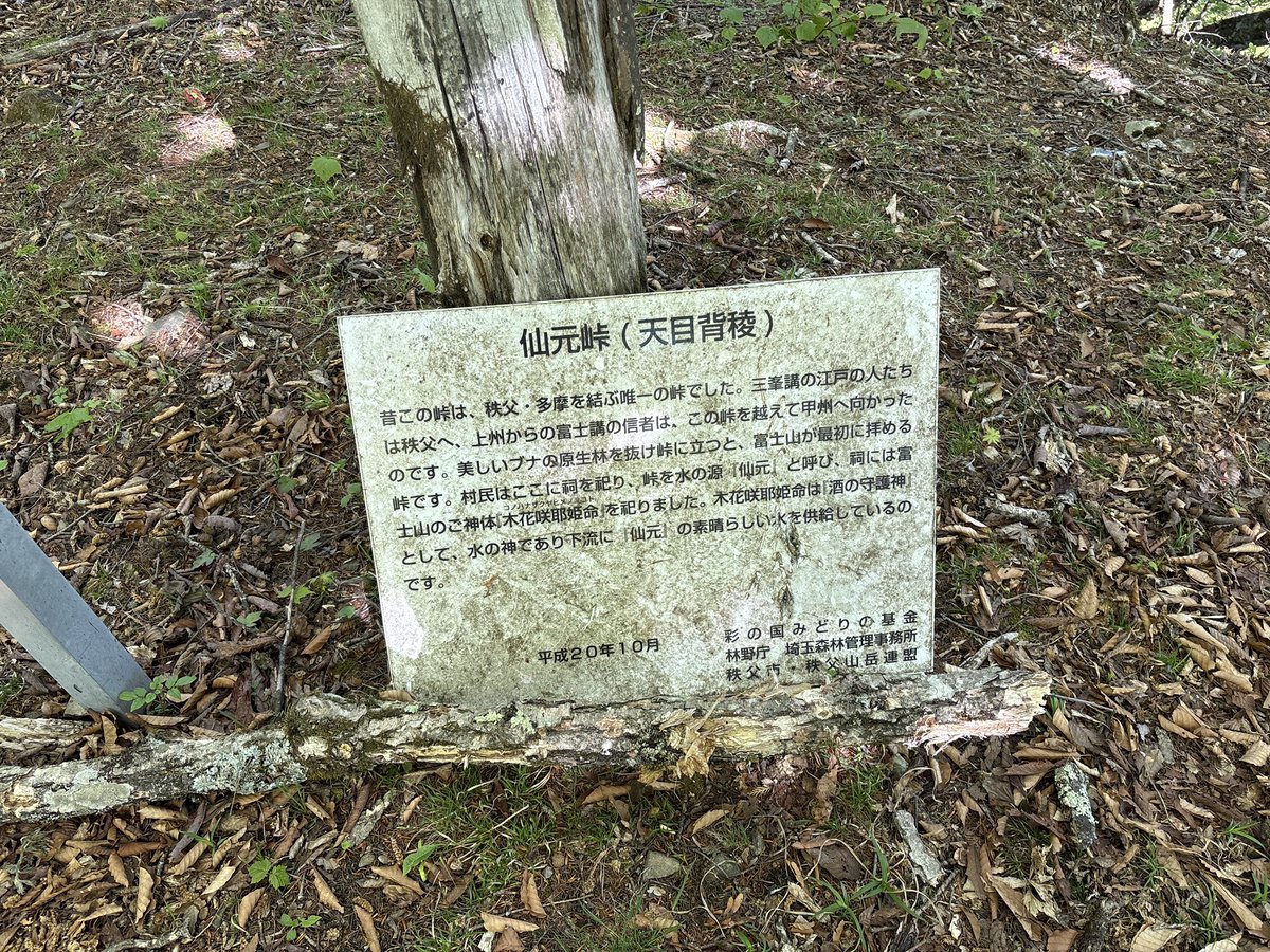 巻雲 tweet media