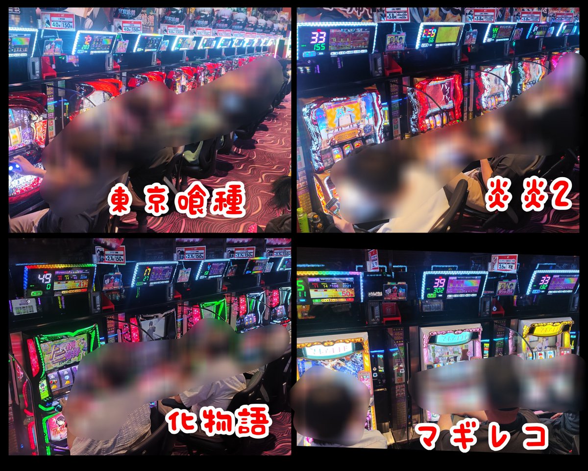 パンダ調査隊@P-GAL tweet media