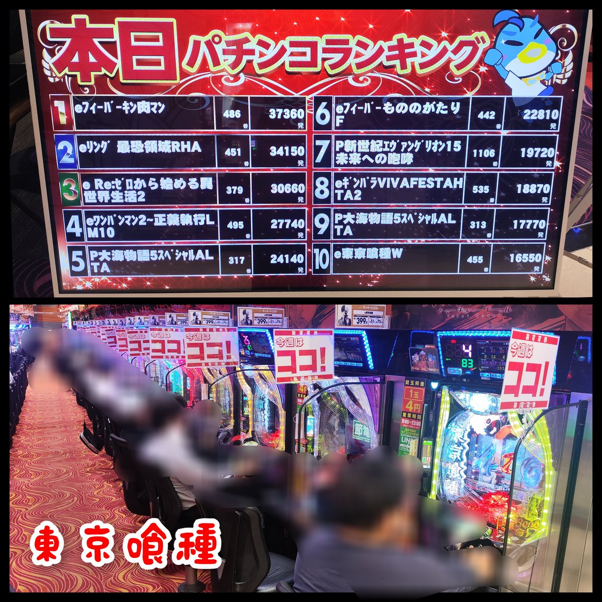 パンダ調査隊@P-GAL tweet media