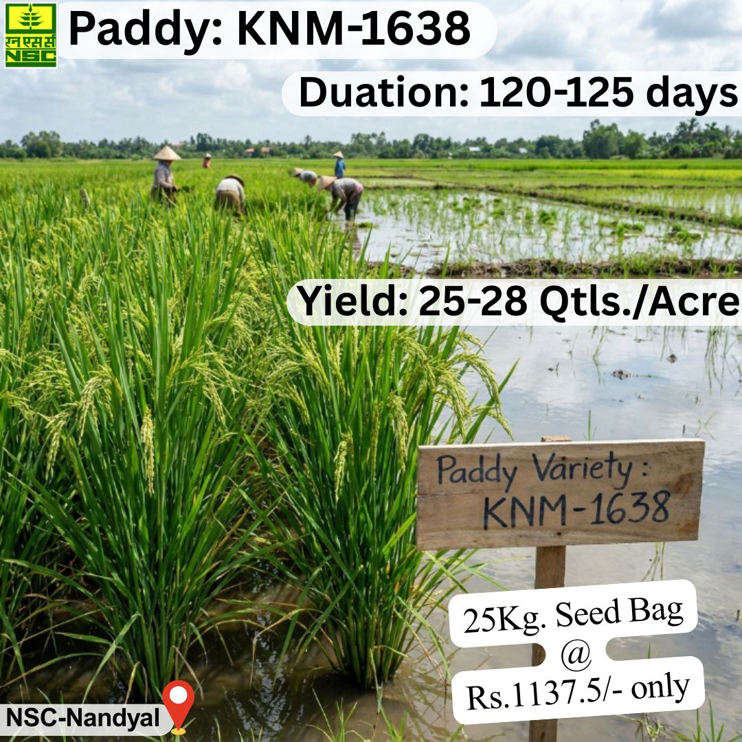 National Seeds Corporation Limited tweet media
