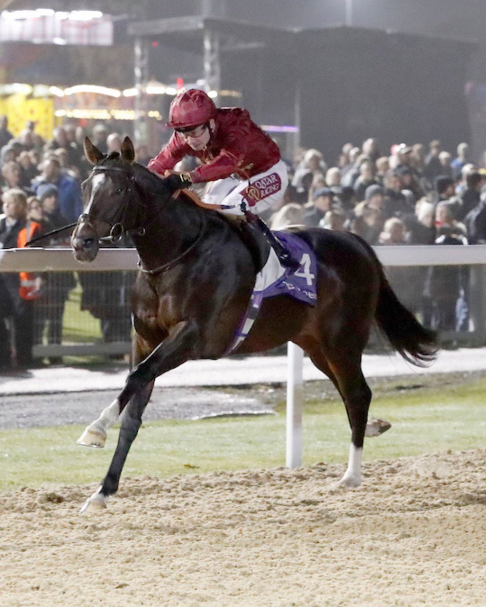 JSCComms's tweet photo. 10 years of tapeta @NewcastleRaces 🏇

A decade of future champions turning heads, staying greats showing their quality in the Northumberland Plate, and action-packed All-Weather Finals Day cards showcasing the very best of Britain’s all-weather scene. 

Racing royalty including @_Clarehaven_ legends Enable, Stradivarius and Palace Pier all enjoyed success on the tapeta at Gosforth Park in the early stages of their career.
