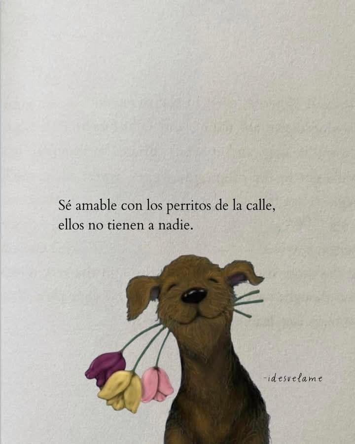 NotaCirculoRojo's tweet photo. https://t.co/mgcodcVoX5