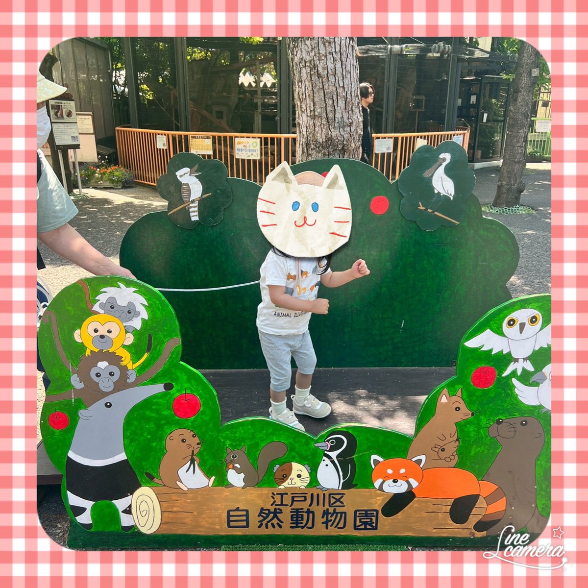 kobatoen's tweet photo. 動物園に遠足に行きました。

なかなか登園できないお友達も、この公園なら近くなので！と参加してくれました。
会えて嬉しかった😊
色んな動物にも会えたね

#心臓病
#心疾患
#先天性心疾患
#心不全
#心臓手術
#ペースメーカー
#ICD
#心臓リハビリ
#循環器内科
#闘病記
#病気と向き合う
#治療中 https://t.co/3lhy2V99nl