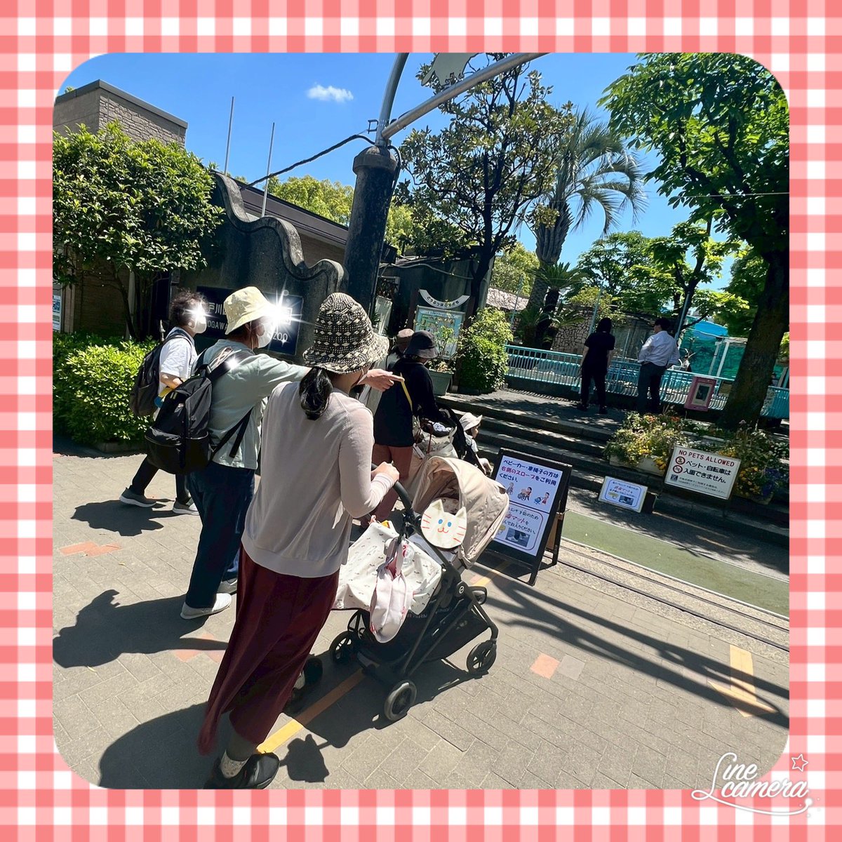 kobatoen's tweet photo. 動物園に遠足に行きました。

なかなか登園できないお友達も、この公園なら近くなので！と参加してくれました。
会えて嬉しかった😊
色んな動物にも会えたね

#心臓病
#心疾患
#先天性心疾患
#心不全
#心臓手術
#ペースメーカー
#ICD
#心臓リハビリ
#循環器内科
#闘病記
#病気と向き合う
#治療中 https://t.co/3lhy2V99nl