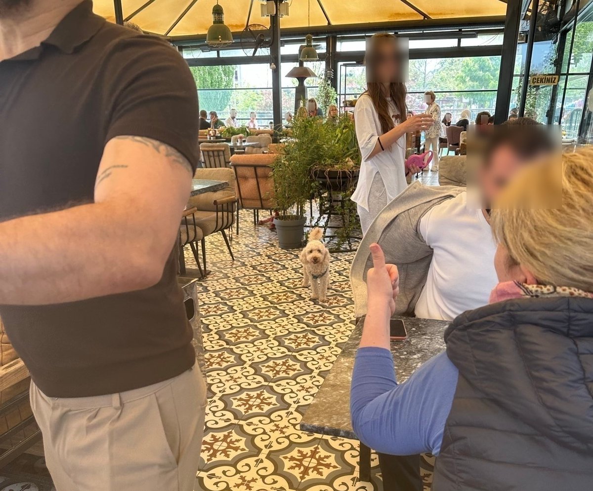 Koçovalı tweet media