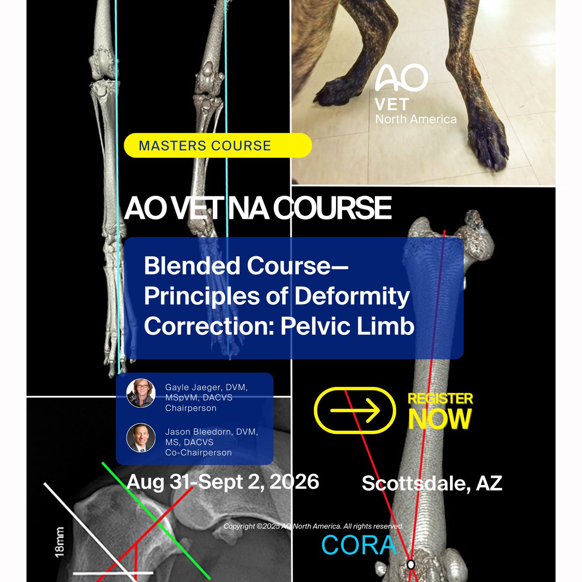 AO VET NA Blended Course — Principles of Deformity Correction