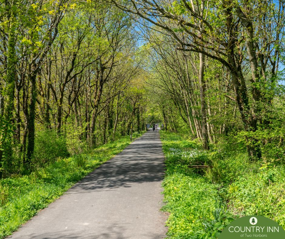 CountryInnTH's tweet photo. Bike, walk, or just explore. Spring is the perfect time to experience lakeside trails along the North Shore. ๐ฟ After a day out on the trails, come back to Country Inn of Two Harbors to relax, recharge, and do it all again tomorrow.
#MinnesotaBiking #ExploreMN #TwoHarborsMN https://t.co/InI9TeHvi7