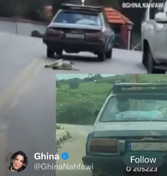 لبنان اليوم tweet media