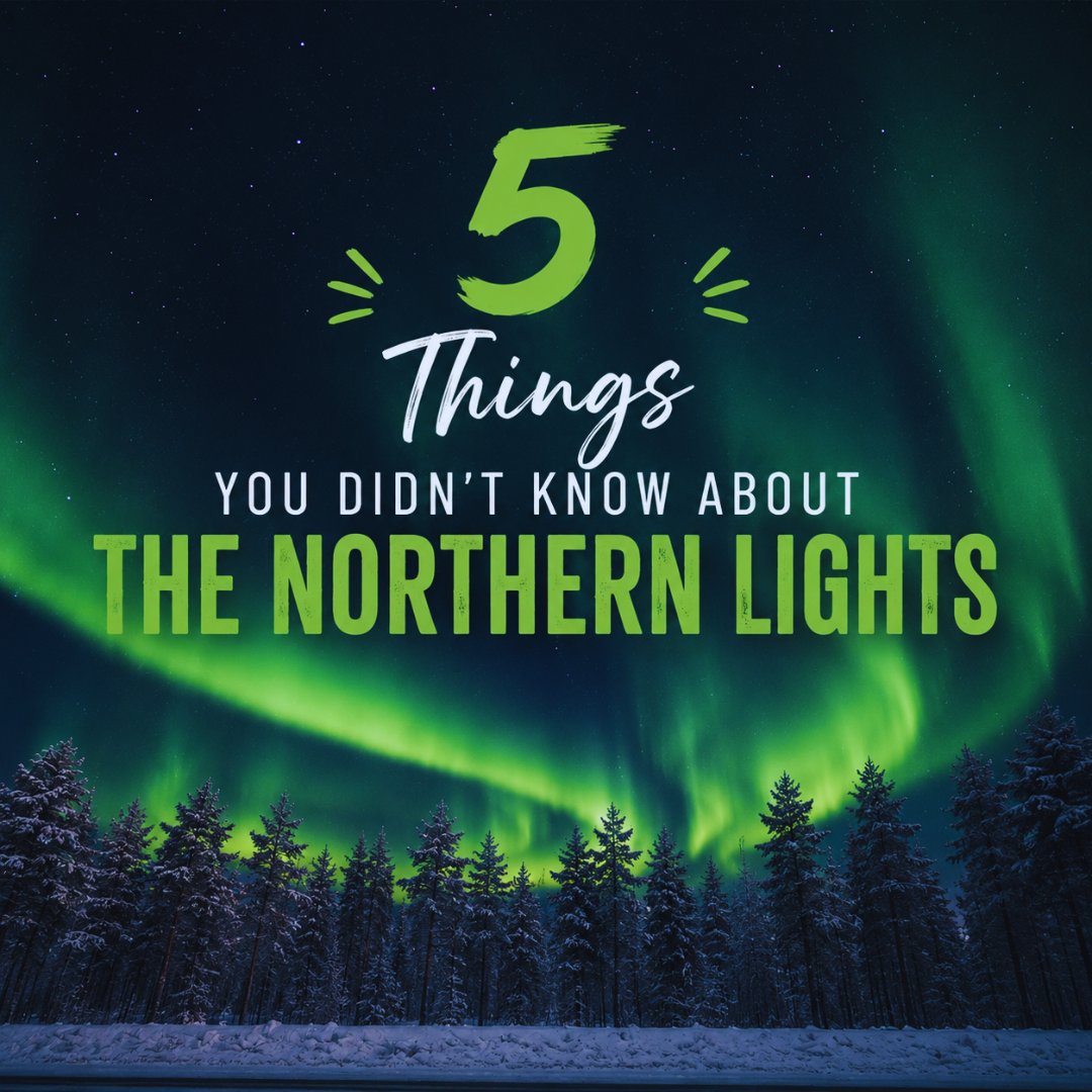Travelintonorth's tweet photo. 5 facts about the Northern Lights 🌌

✨ Not always green
☀️ Caused by solar storms
🌍 Strongest near the poles
❄️ Best seen on cold clear nights
🚀 Solar particles travel millions of miles 
#northernlights #aurroa #rovaniemi https://t.co/2egUmqvb50