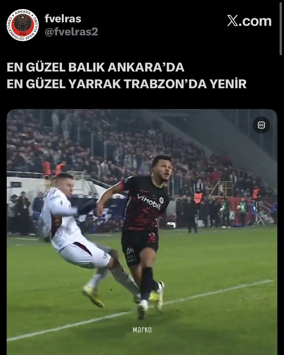 Kramer 🇹🇷🇸🇮 tweet media
